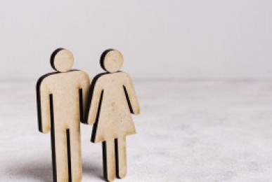 Gender Gap Widens during COVID-19: The Case of Georgia